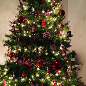 Meet your Posher, Gabriela